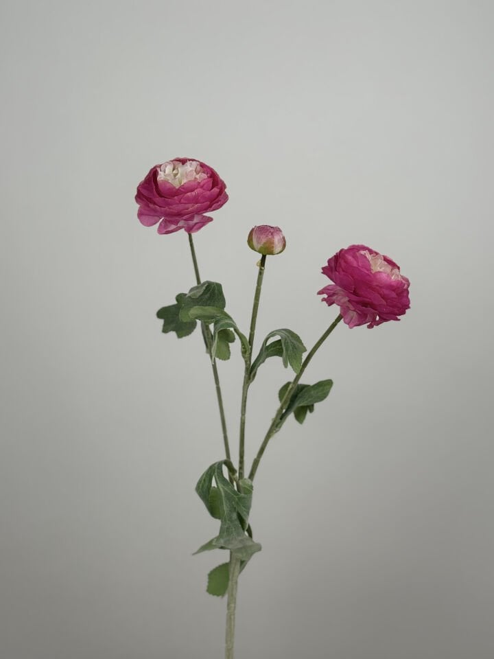 Yapay Çiçek 3lü Şakayık Ranunculus Dalı 50 cm Fuşya