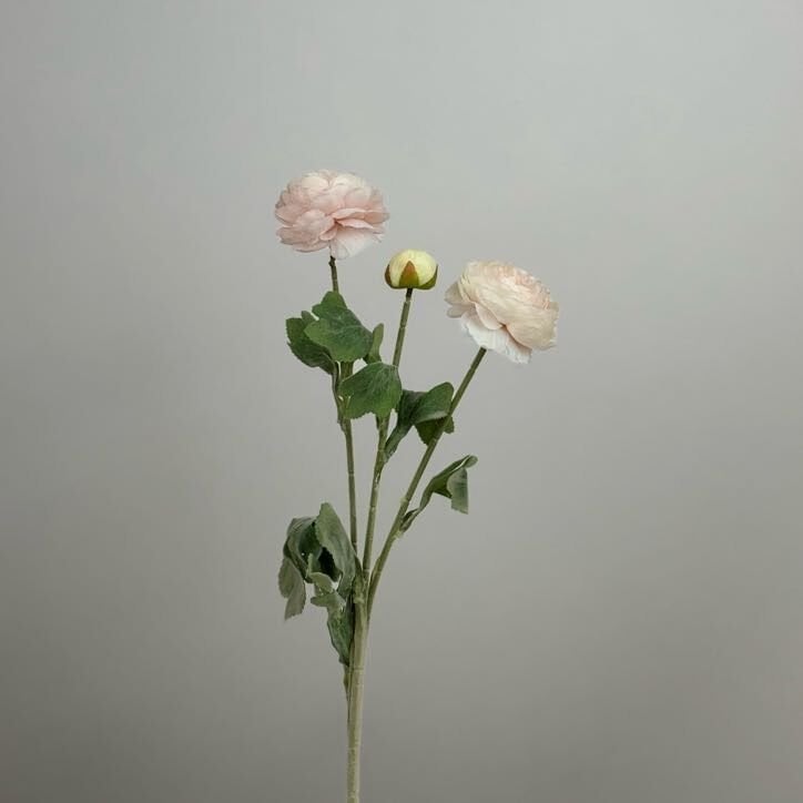 Yapay Çiçek 3lü Şakayık Ranunculus Dalı 50cm Pudra