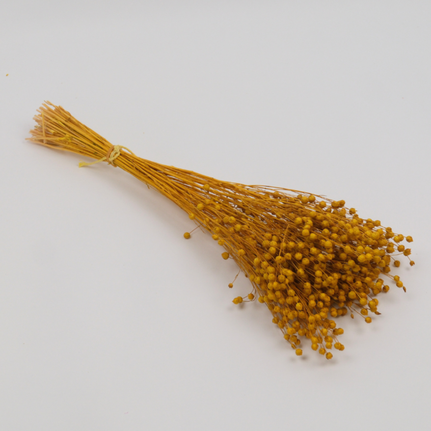 Kuru Çiçek Luna Otu 80 gr 50 cm Sarı