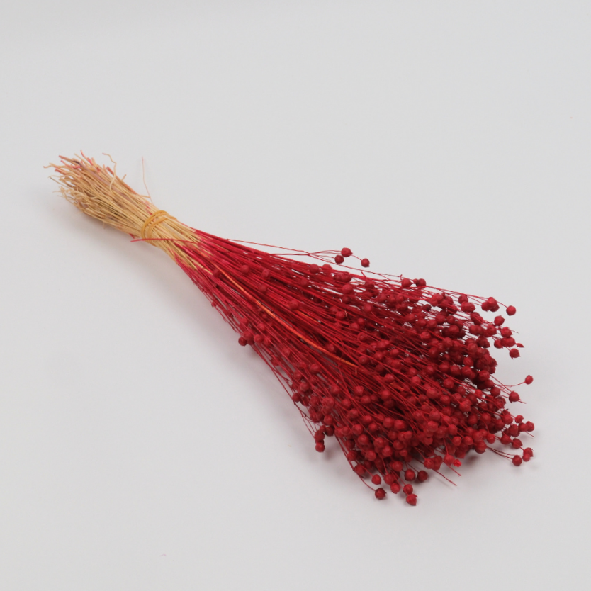 Kuru Çiçek Luna Otu 80 gr 50 cm Kırmızı