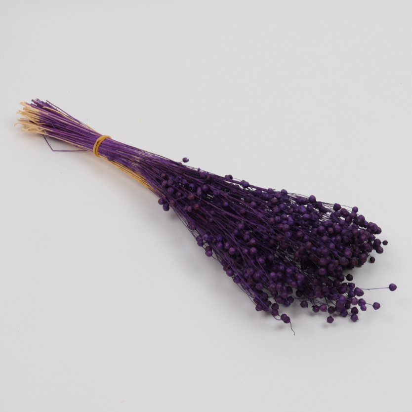 Kuru Çiçek Luna Otu 80 gr 50 cm Mor