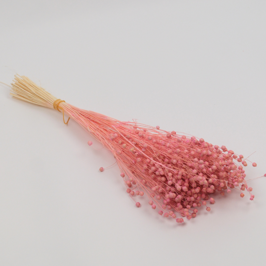 Kuru Çiçek Luna Otu 80 gr 50 cm Pembe