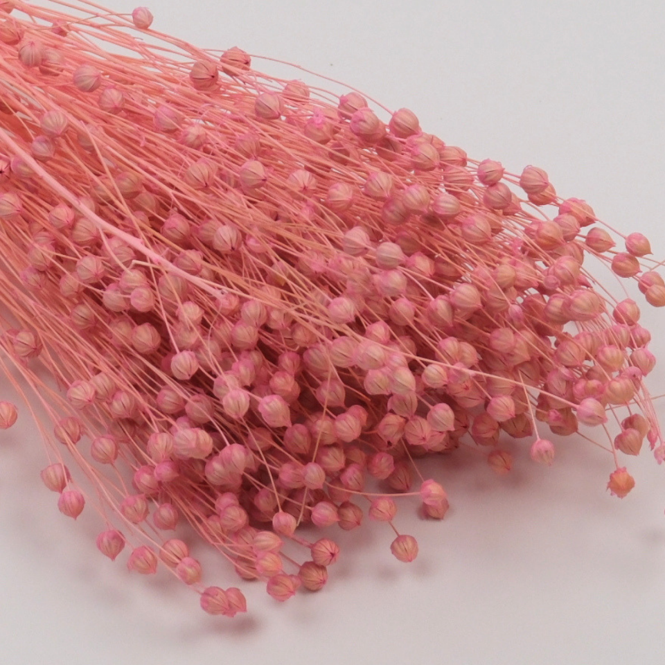 Kuru Çiçek Luna Otu 80 gr 50 cm Pembe