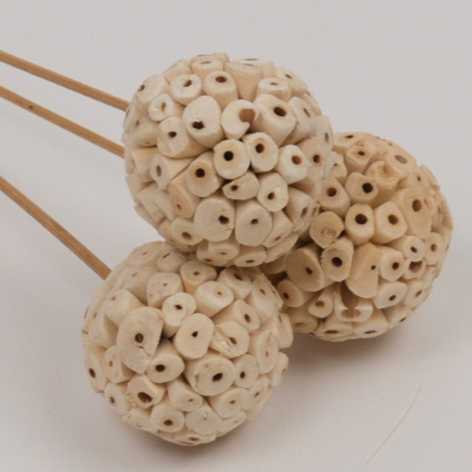 3’lü Shola Alta Ball 40 CM Kuru Çiçek
