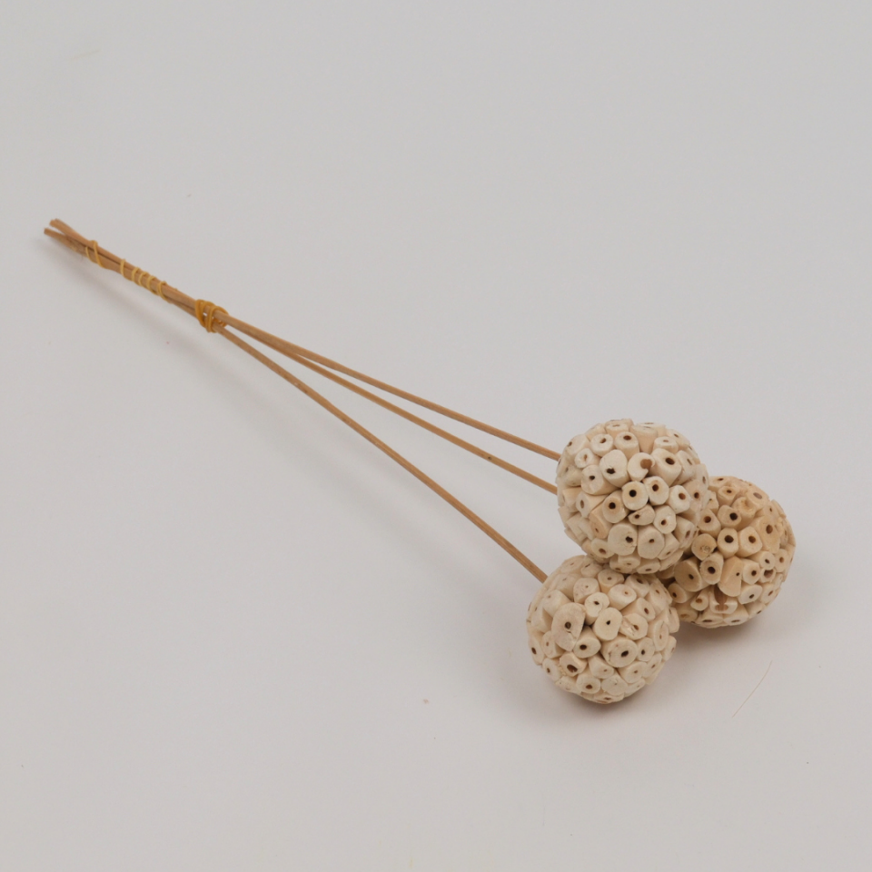 3’lü Shola Alta Ball 40 CM Kuru Çiçek
