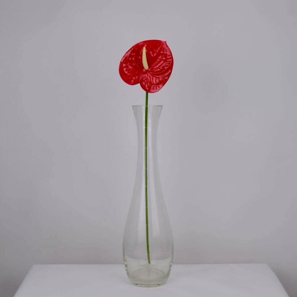 Yapay Islak Tekli Antoryum Dalı 60 cm Kırmızı