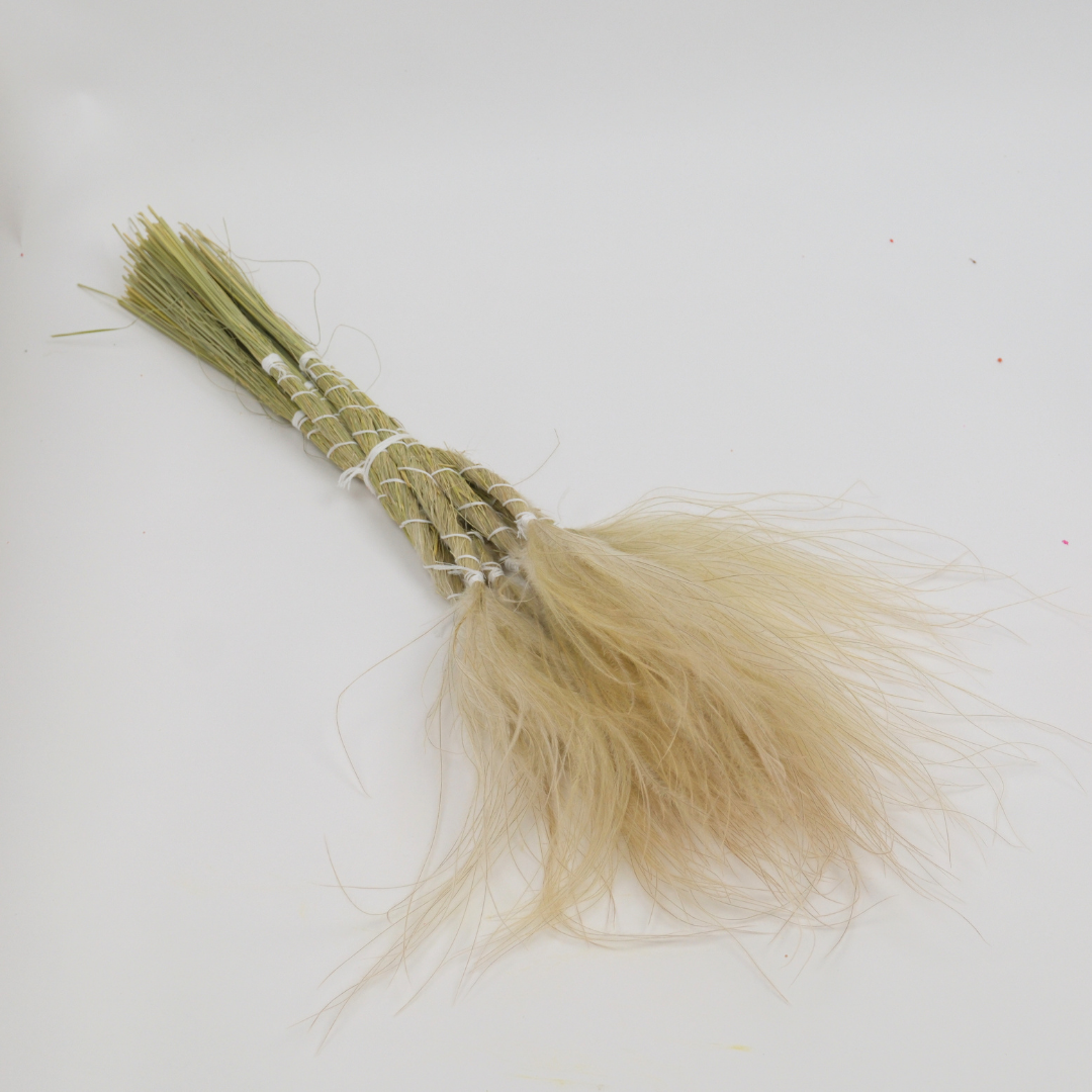 Stipa Otu 10 Dal Dekoratif Kuru Çiçek