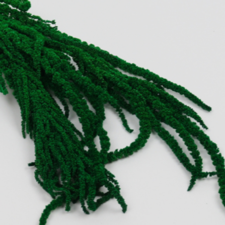 Şoklanmış Sarkan Amaranthus Demeti – 1 Demet - Yeşil