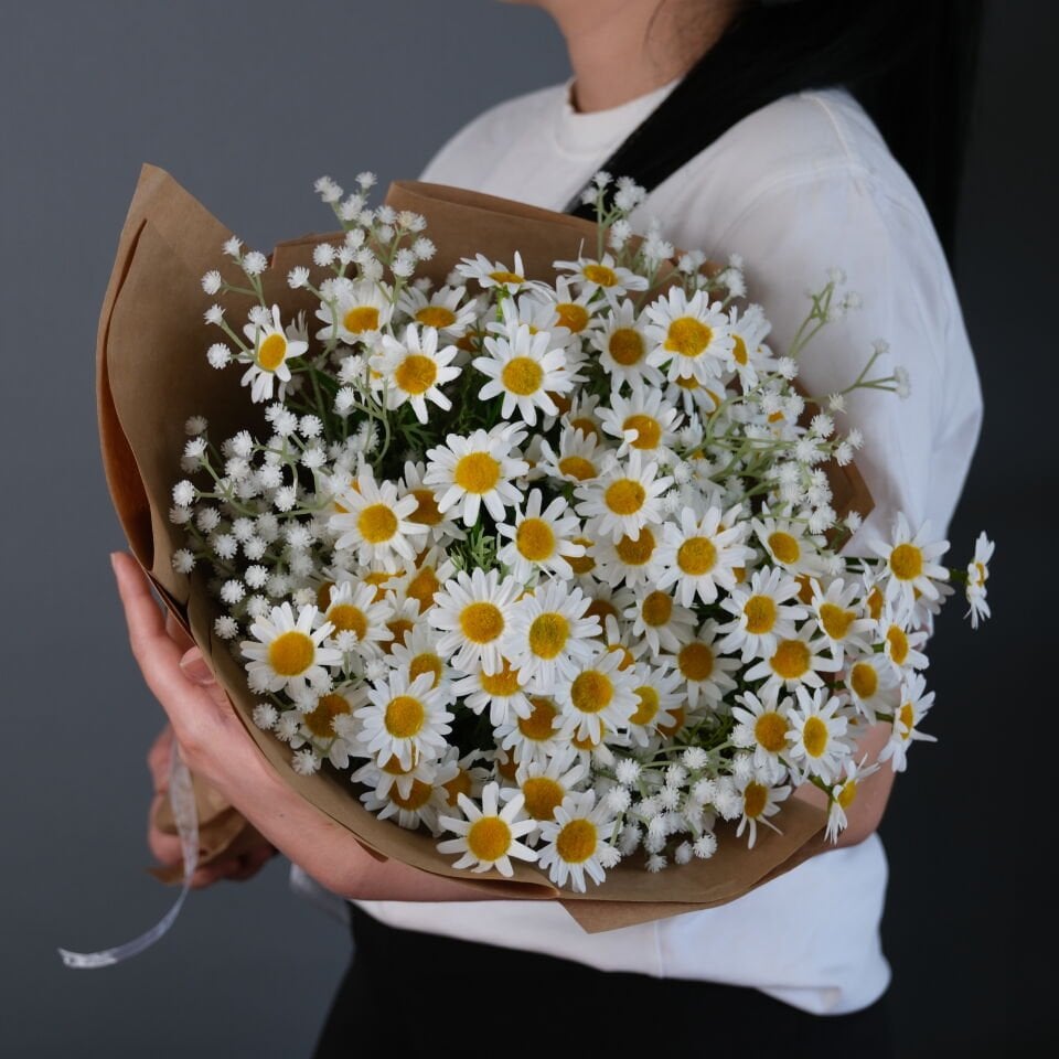 Daisy Bloom