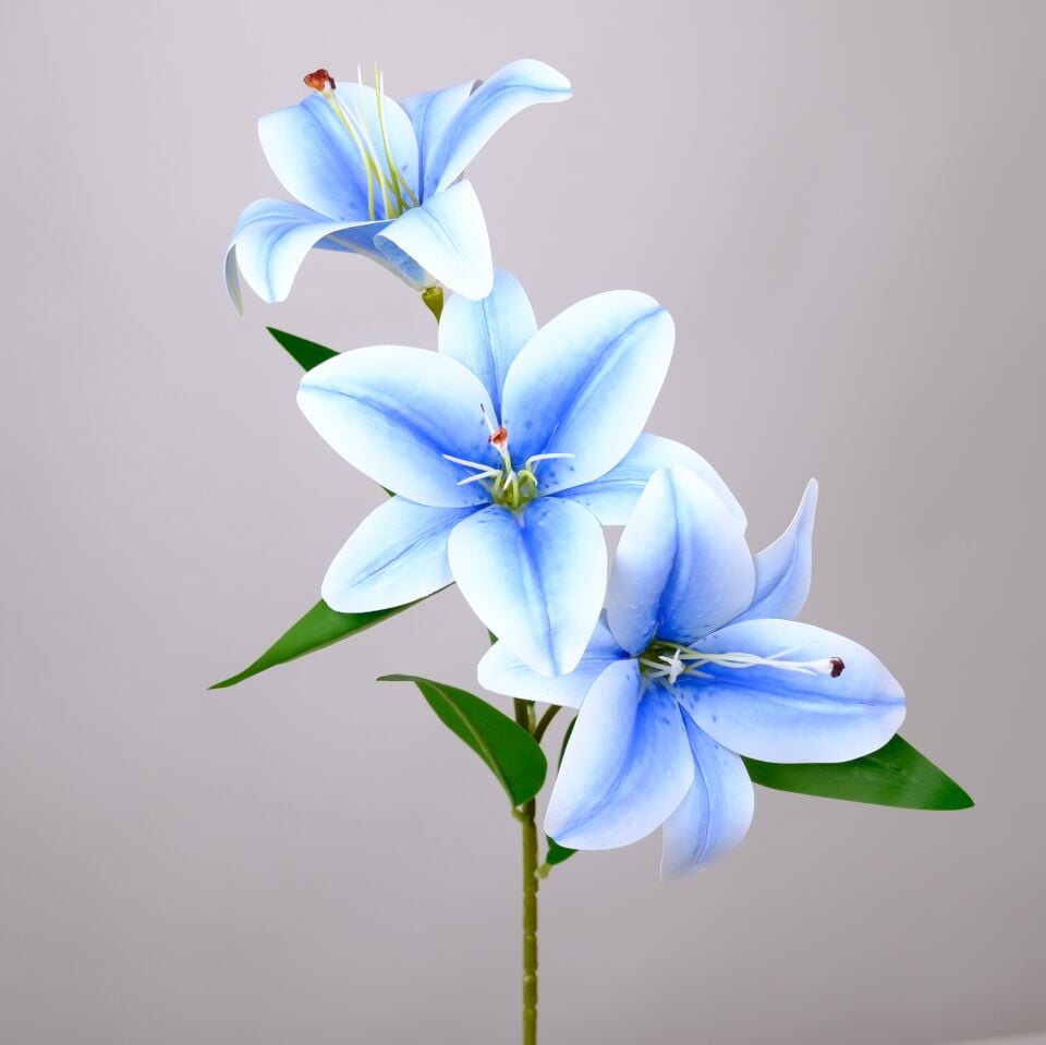 Yapay  3 Başlı Lüx Islak Kazablanka Lilyum Dalı 60 cm Mavi