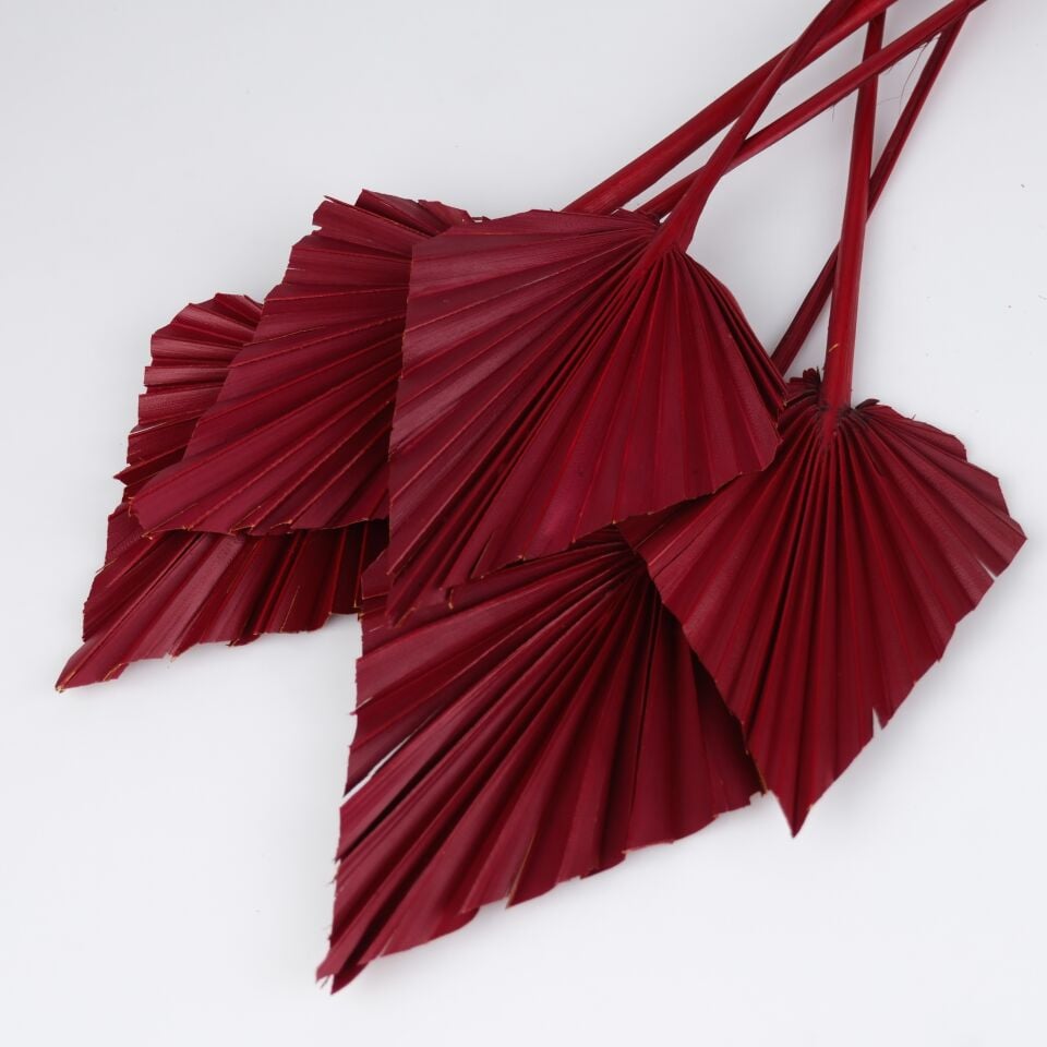 5'Lİ PALM SPEAR LARGE WINE RED