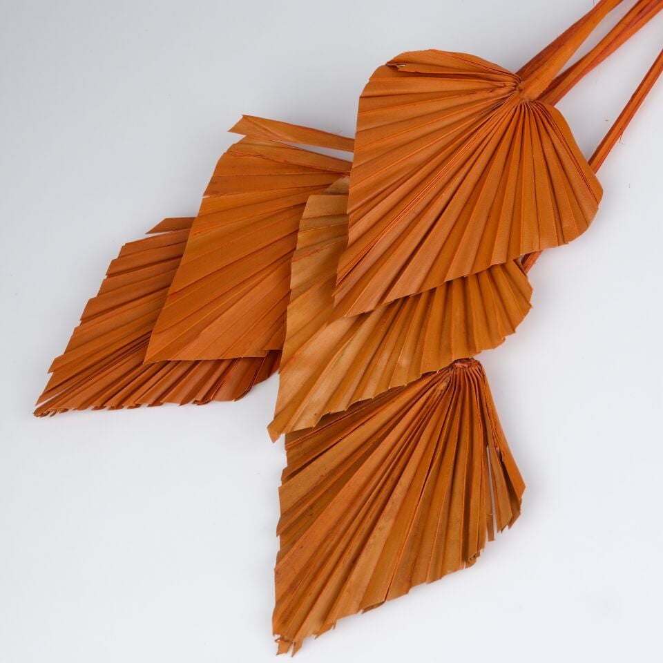 5'Lİ PALM SPEAR LARGE ORANGE