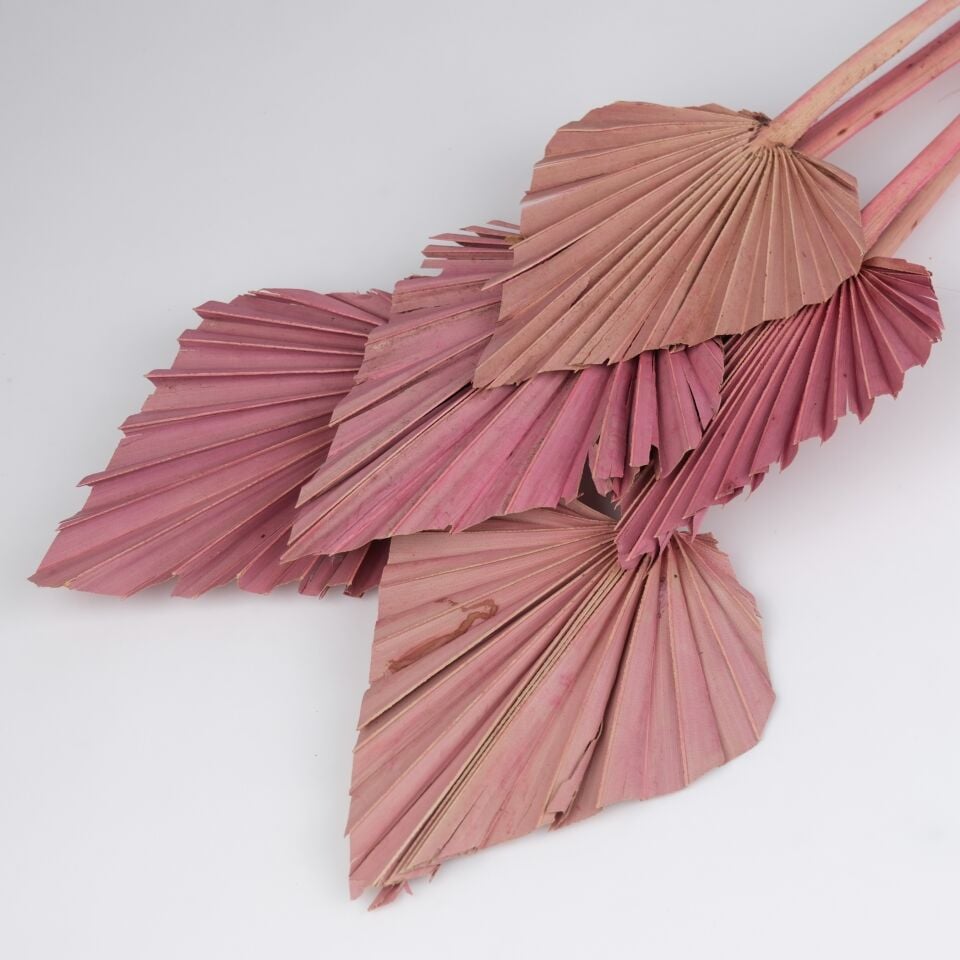 5'Lİ PALM SPEAR LARGE ANTIQUE PINK