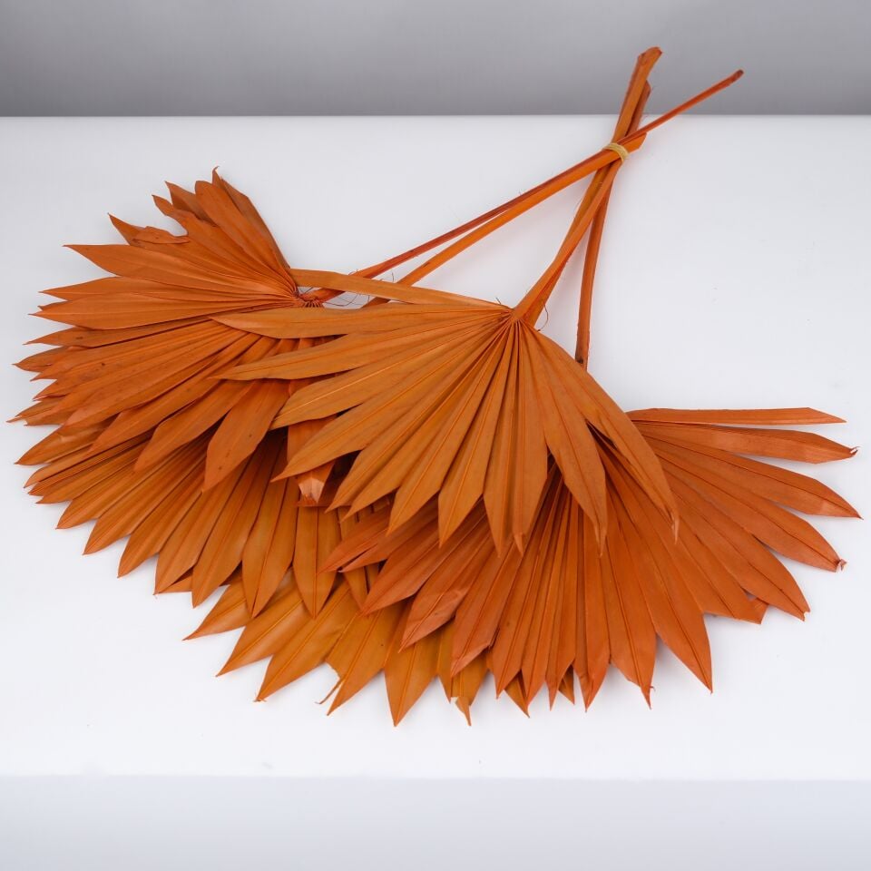 5'Lİ PALM SUN SPEAR LARGE ORANGE