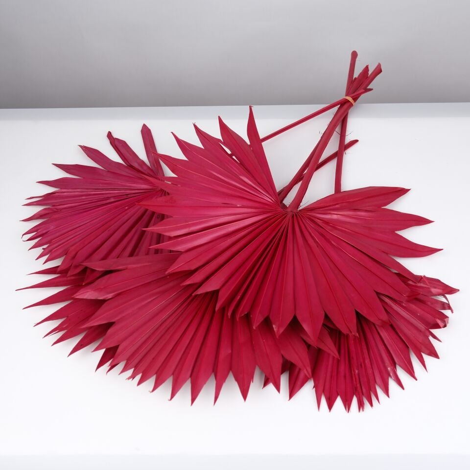 5'Lİ PALM SUN SPEAR LARGE RED