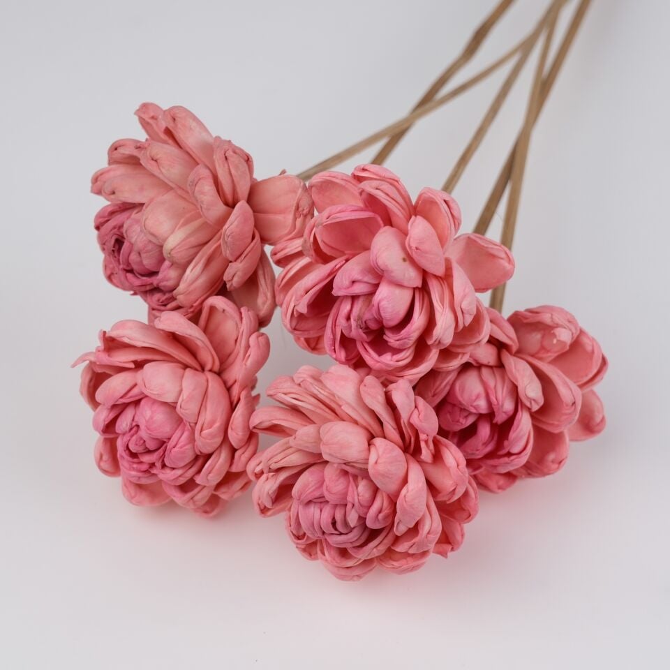 5'Lİ SOLA TIM GARDENIA DARK PINK 6cm-50cm