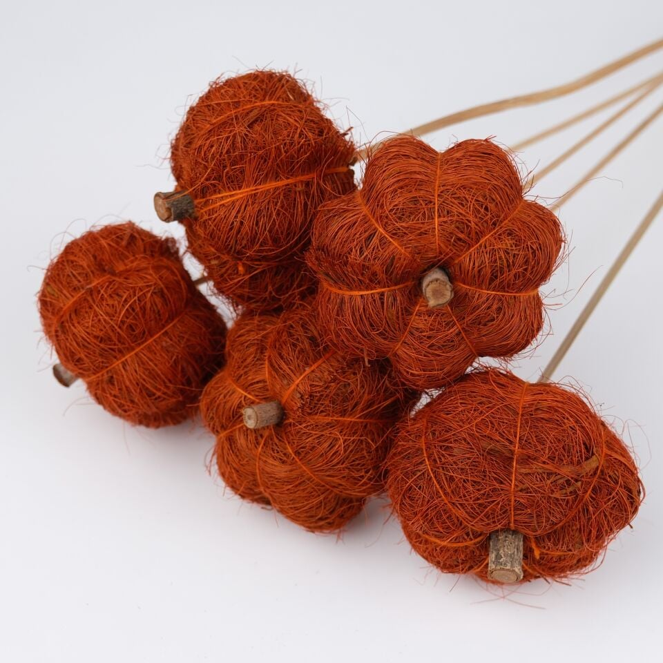 5'Lİ COIR PUMPKIN DIRECT ORANGE on STEM 6cm - 50cm