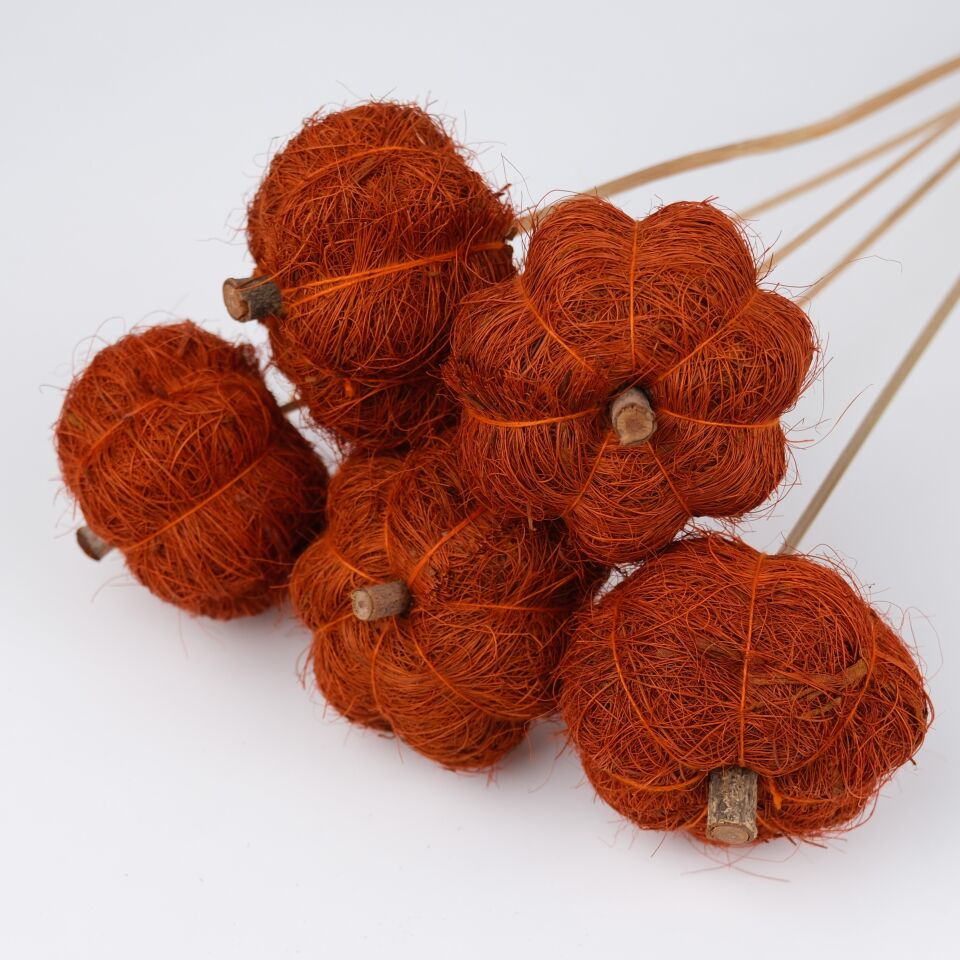 5'Lİ COIR PUMPKIN DIRECT ORANGE on STEM 6cm - 50cm