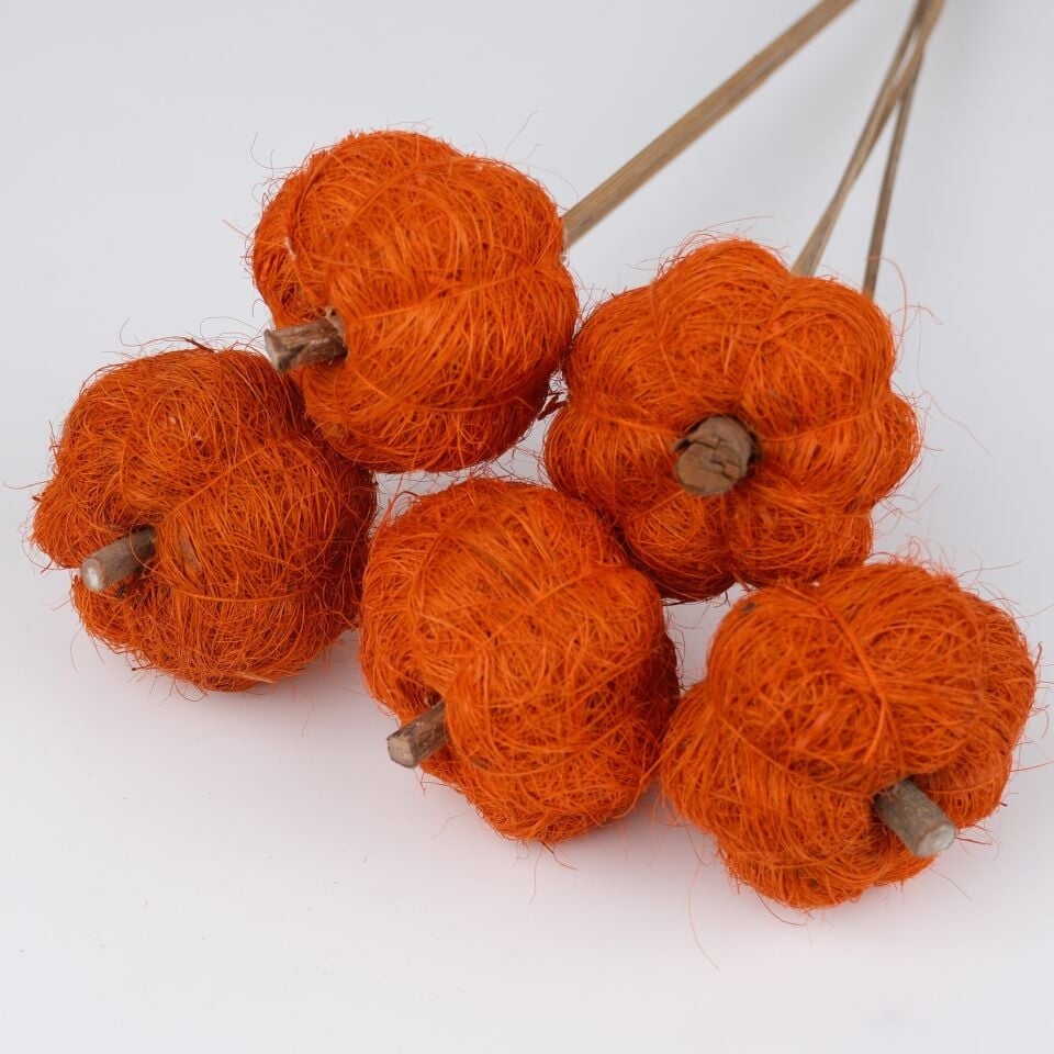 5'Lİ COIR PUMPKIN ORANGE on STEM 6cm - 50cm