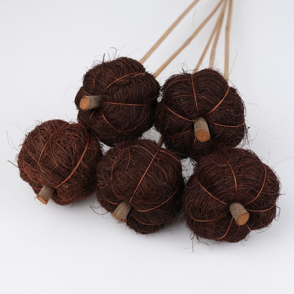 5'Lİ COIR PUMPKIN on BROWN 6cm - 50 cm