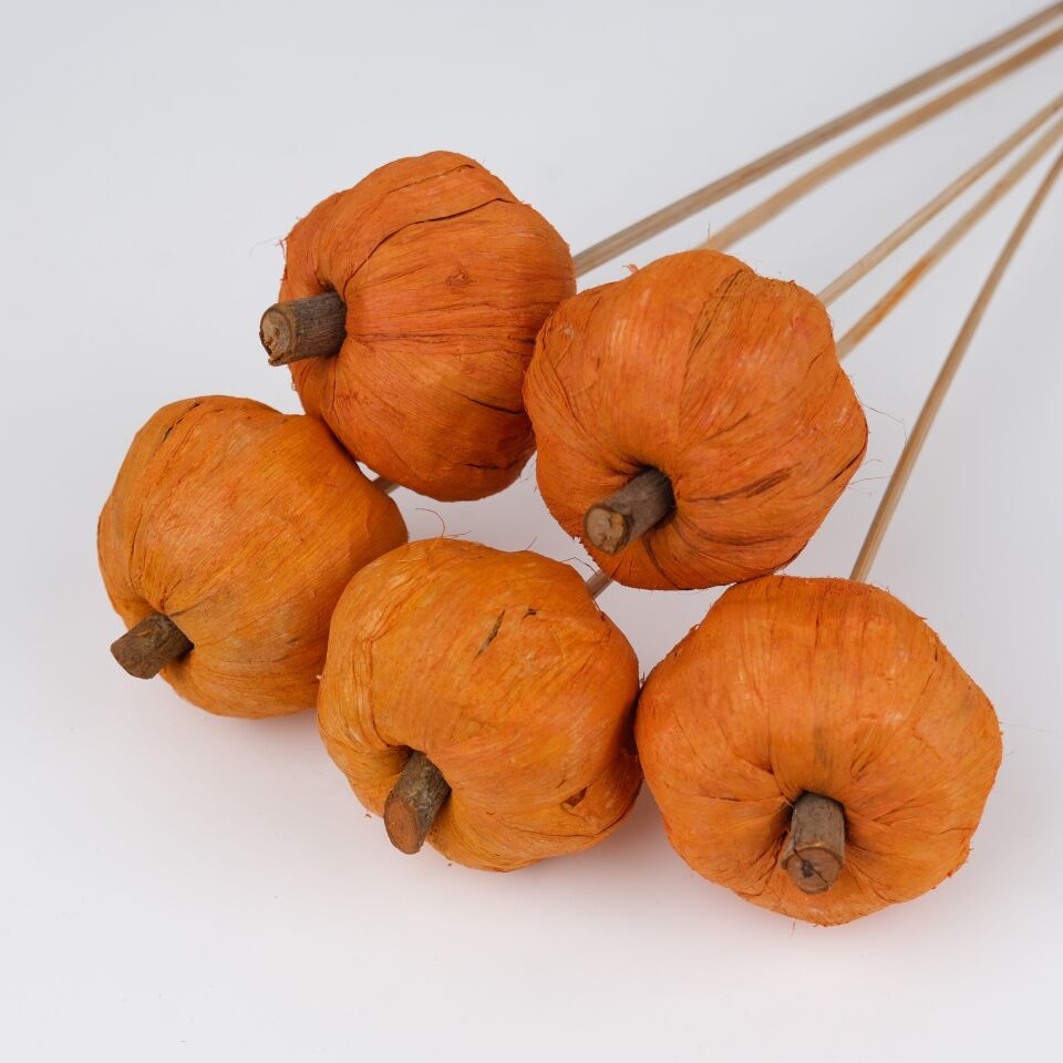 5'Lİ PANA PUMKIN ORANGE 6cm-50cm