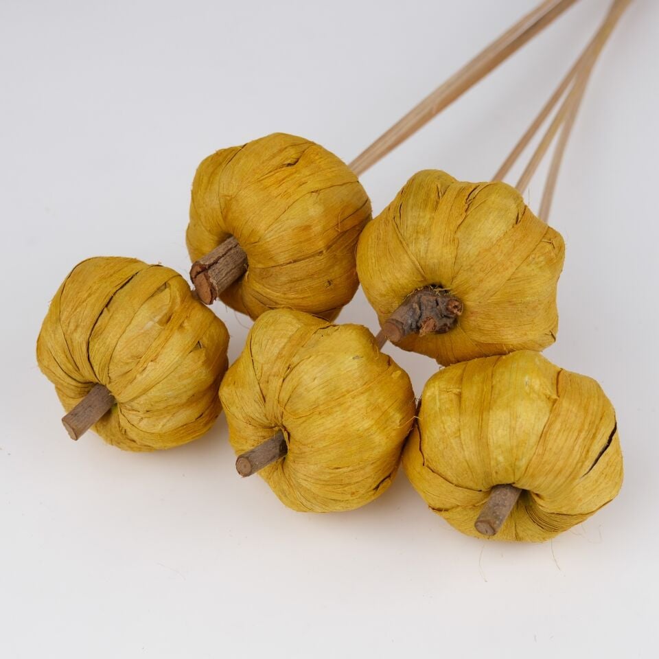 5'Lİ PANA PUMKIN GOLDEN YELLOW 6cm-50cm