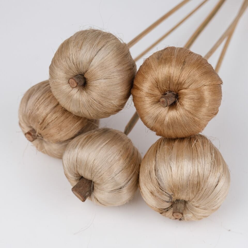 5'Lİ JUTE APPLE on STEM 6 cm 50cm Stem