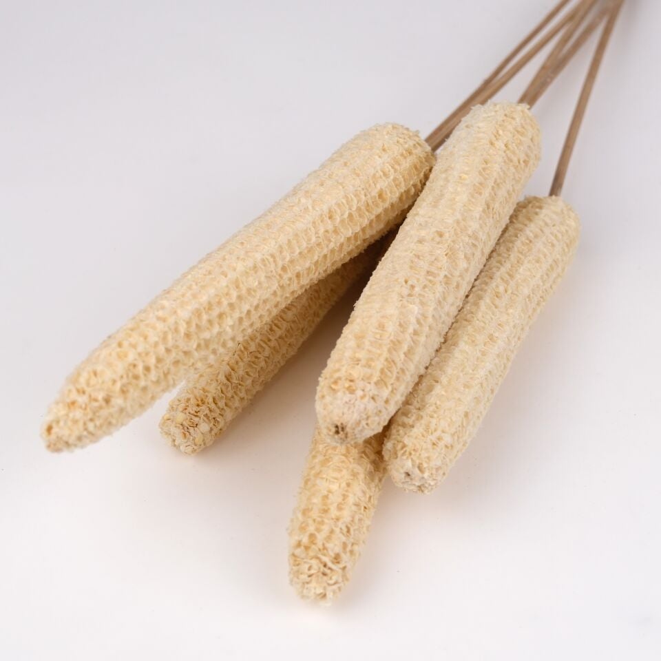 5'Lİ BHUTTA BLEACH on STEM 15-20cm 50cm