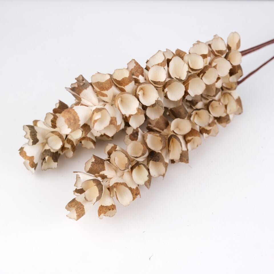 3'LÜ SOLA CRAPE CONE POSSY(SKIN) 40-50CM
