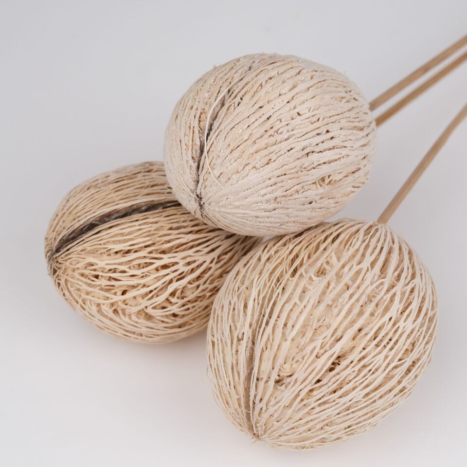 3'LÜ MINTOLLA BALL BLEACH on STEM 50cm