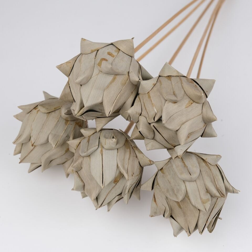 5'Lİ KHEJUR ARTICHOKE on STEM 8cm-50cm