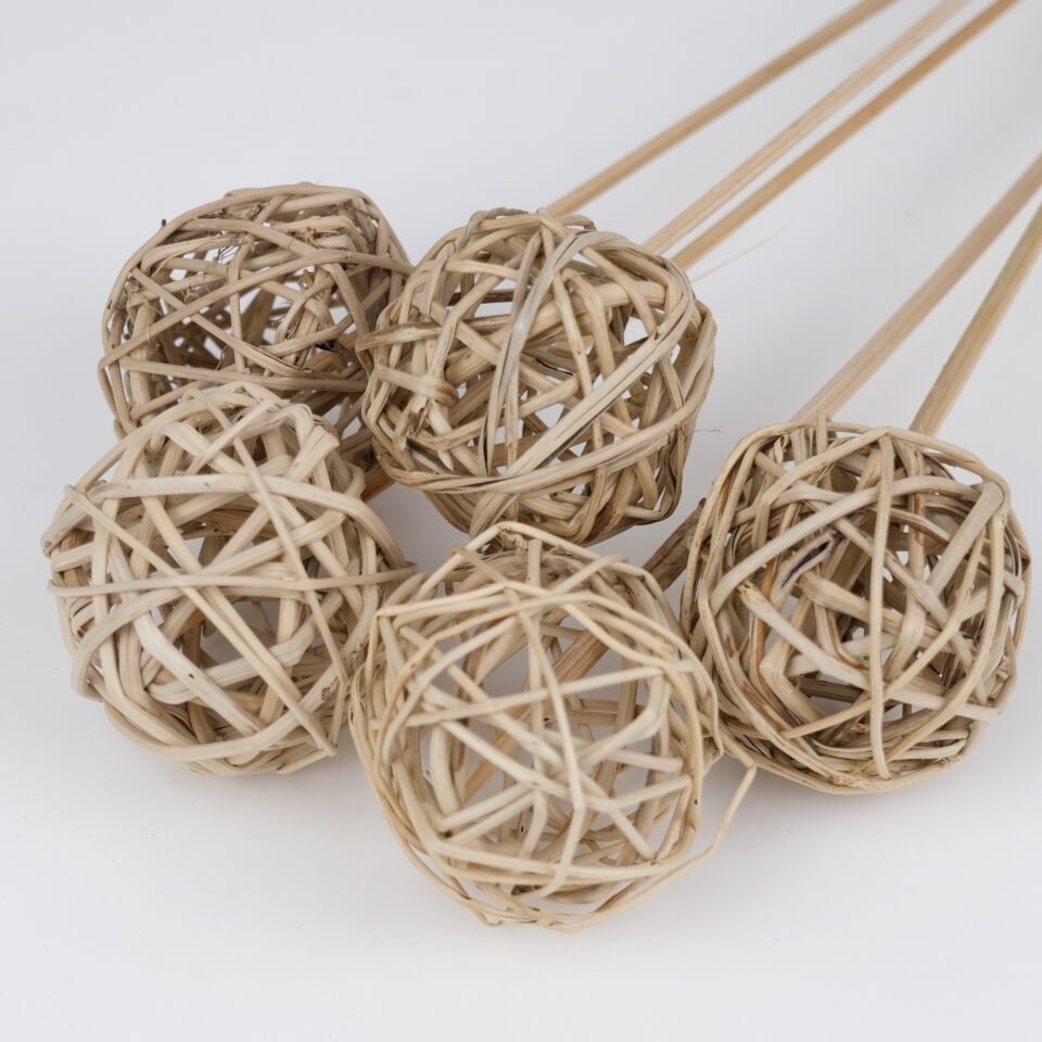 5'Lİ LATA BALL on STEM WHITE 6cm 50cm