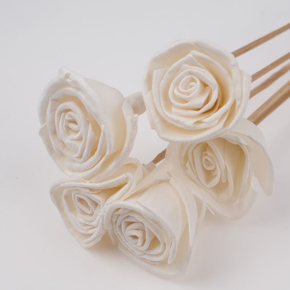 5'Lİ SOLA LONG ROSE 6cm 50cm