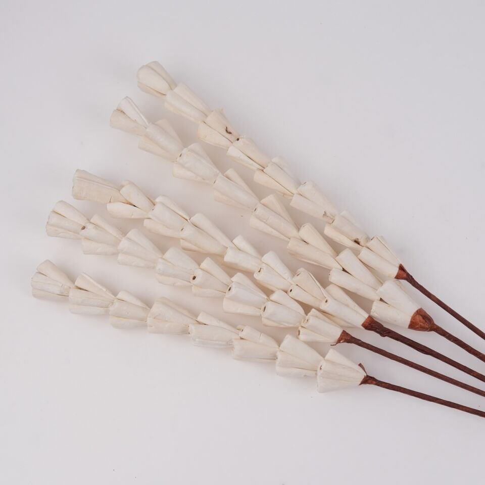 5'Lİ SOLA RAJANI STICK