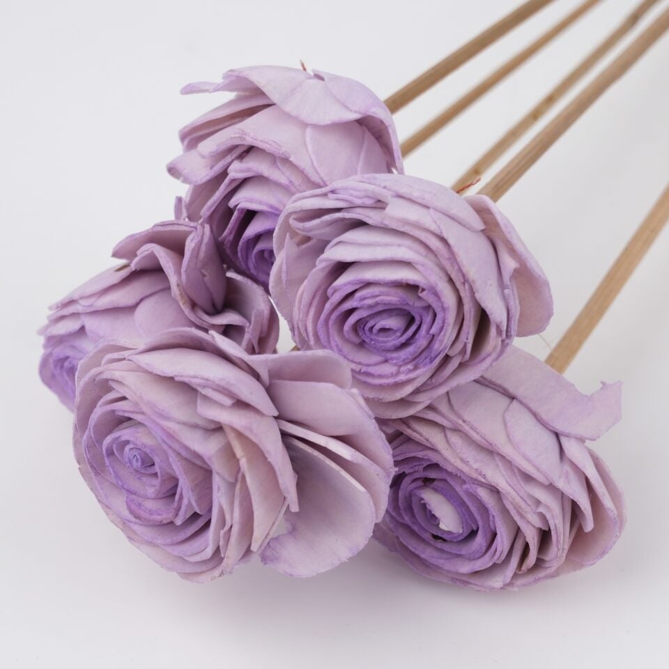 5'Lİ SOLA BEAUTY ROSE PURPLE ECLIPSE 6cm-50cm