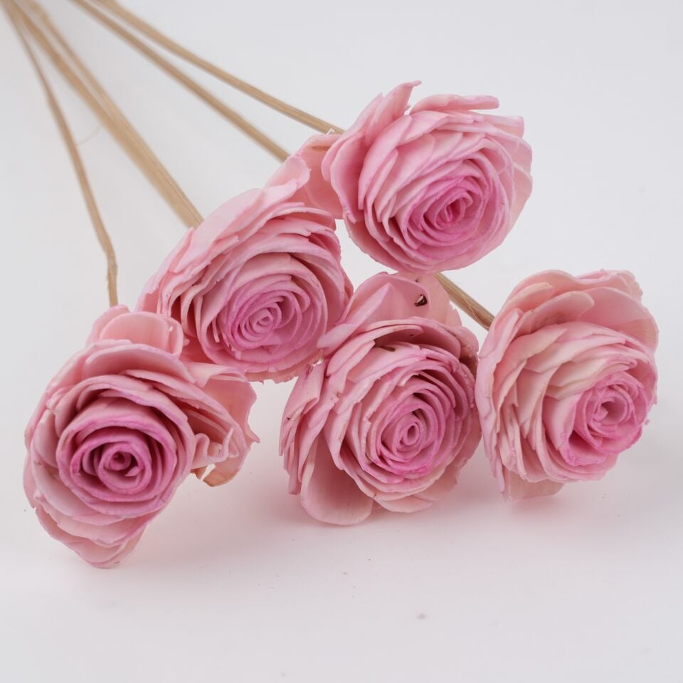 5'Lİ SOLA BEAUTY ROSE LIGHT PINK ECLIPSE 6cm-50cm