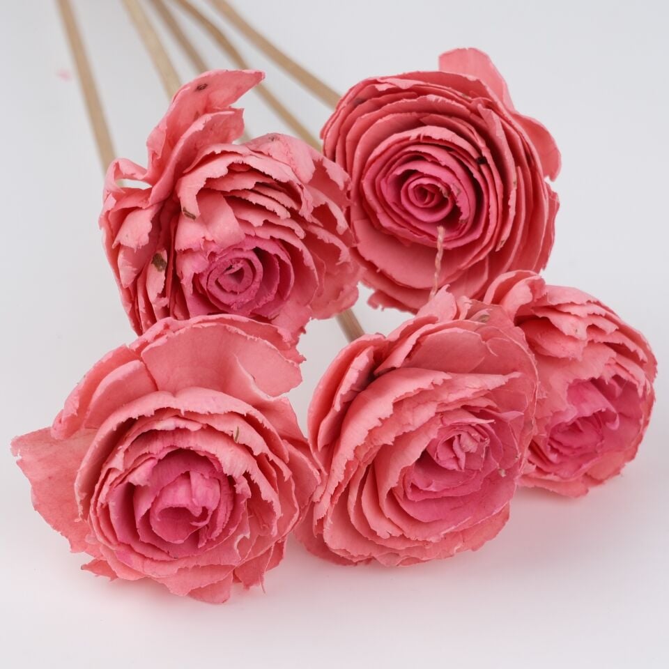 5'Lİ SOLA CABBAGE FLOWER DARK PINK ECLIPSE 6cm-50cm