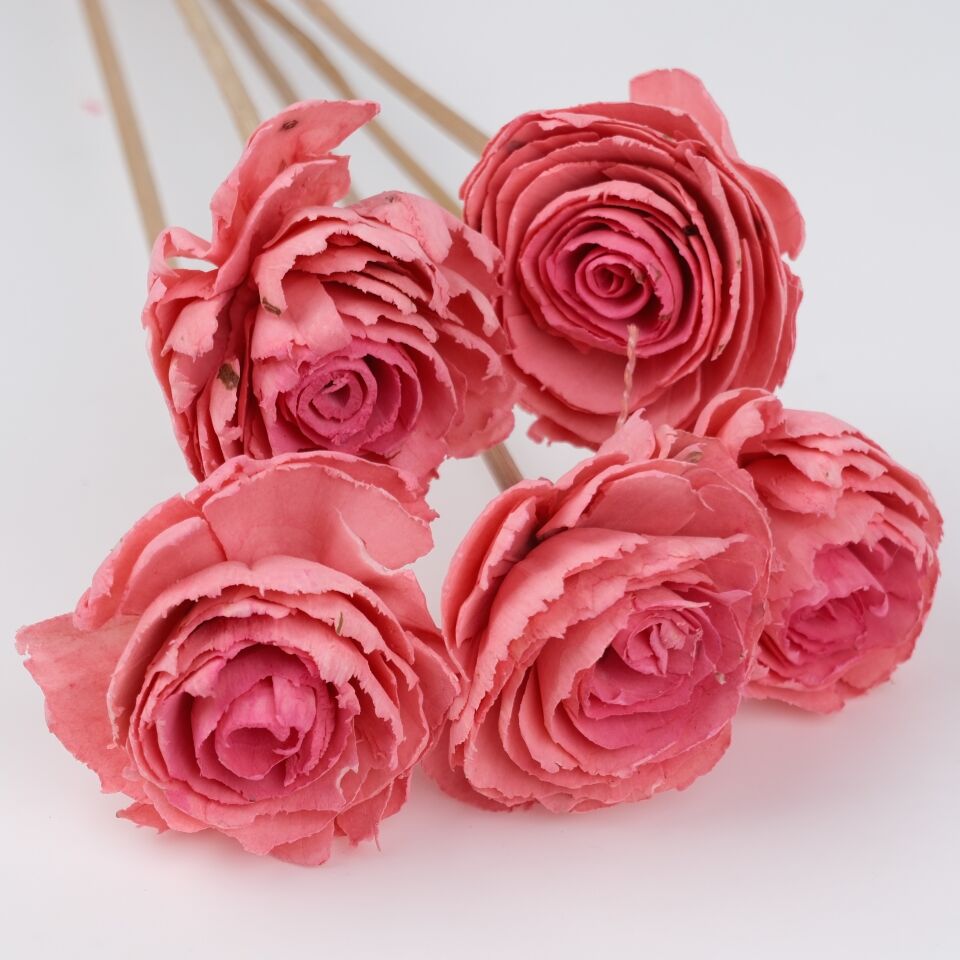 5'Lİ SOLA CABBAGE FLOWER DARK PINK ECLIPSE 6cm-50cm
