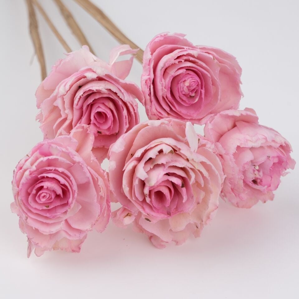 5'Lİ SOLA CABBAGE FLOWER LIGHT PINK ECLIPSE 6cm-50cm