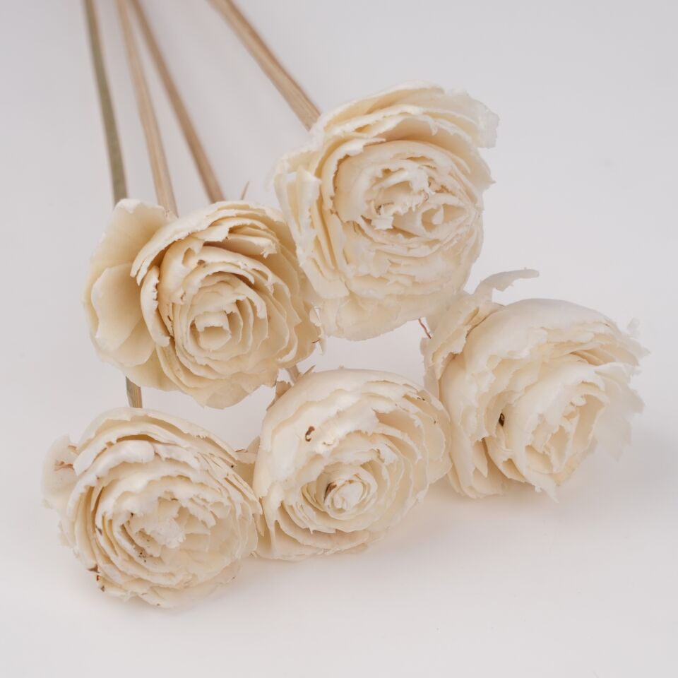 5'Lİ SOLA CABBAGE FLOWER ECLIPSE 6cm-50cm