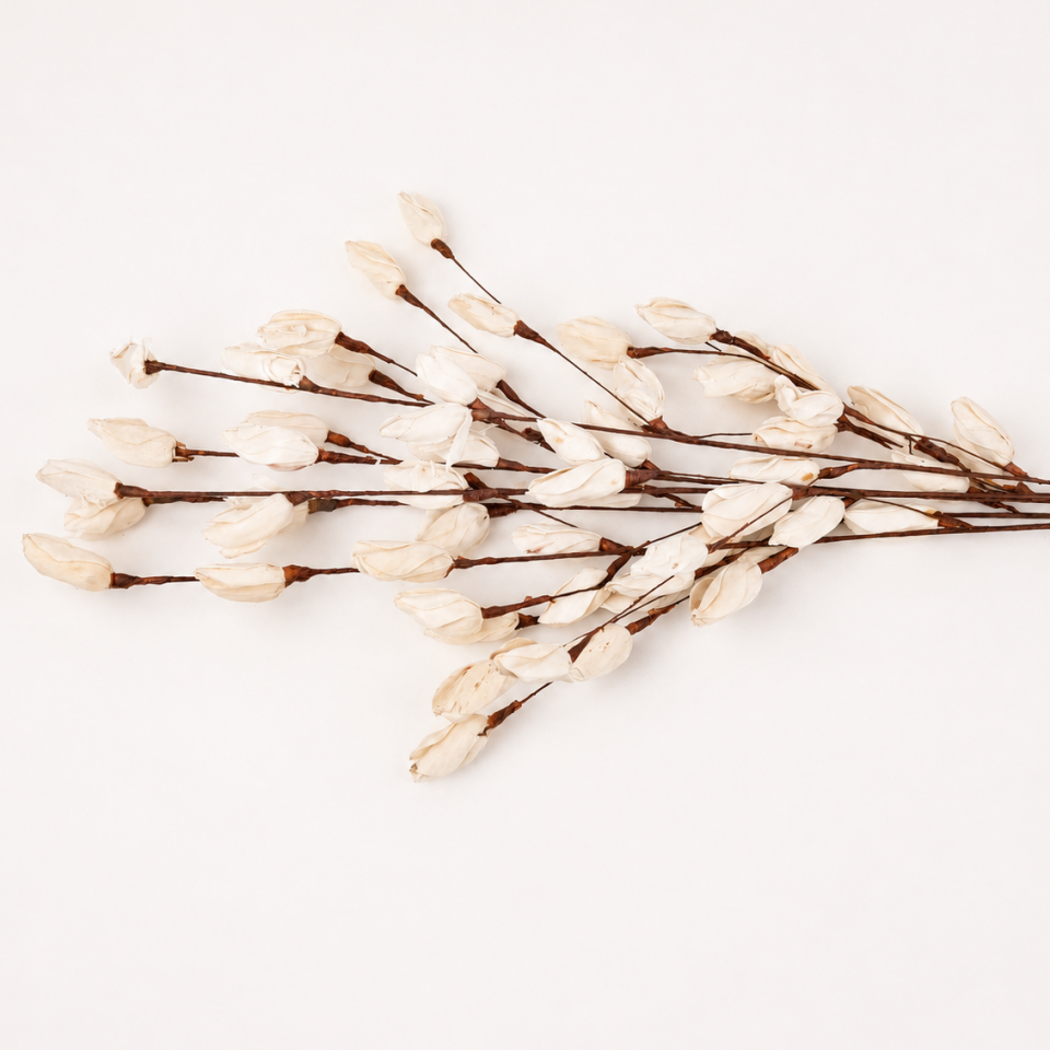 5'Lİ SOLA BUD ROSE STICK 80cm