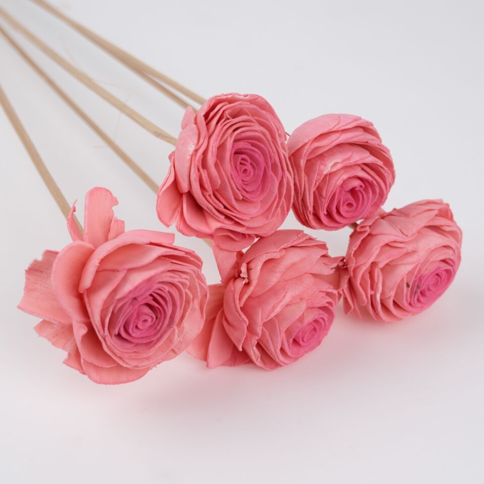 5'Lİ SOLA BEAUTY ROSE DARK PINK ECLIPSE 6cm 50cm