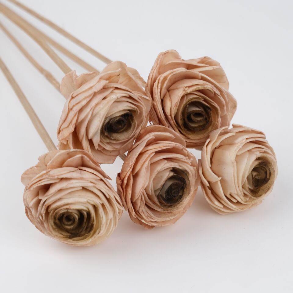 5'Lİ SOLA BEAUTY ROSE BROWN ECLIPSE 6cm 50cm