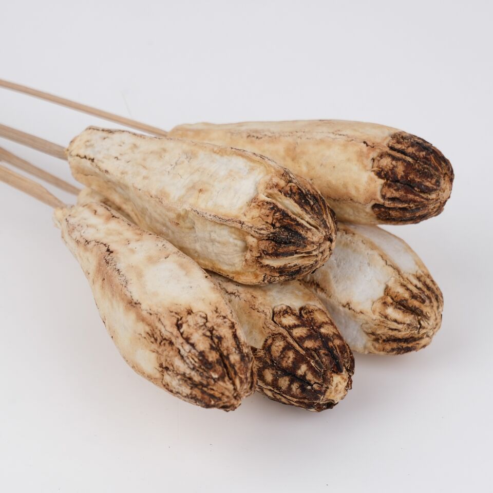 5'Lİ MEGAHONY POD BLEACH on STEM 8-10cm-50cm