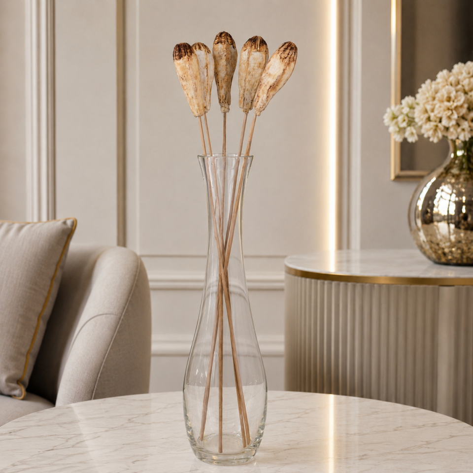5'Lİ MEGAHONY POD BLEACH on STEM 8-10cm-50cm