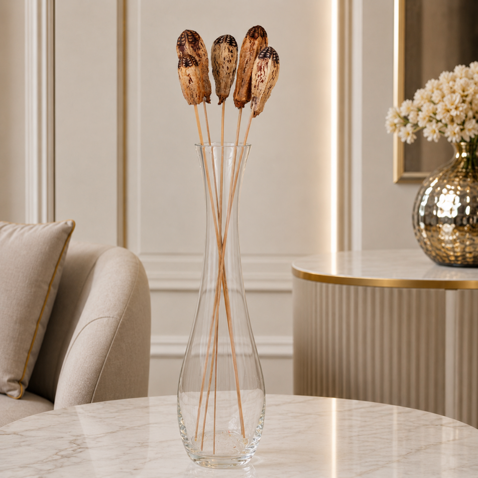 5'Lİ MEGAHONY POD on STEM 8-10cm-50cm