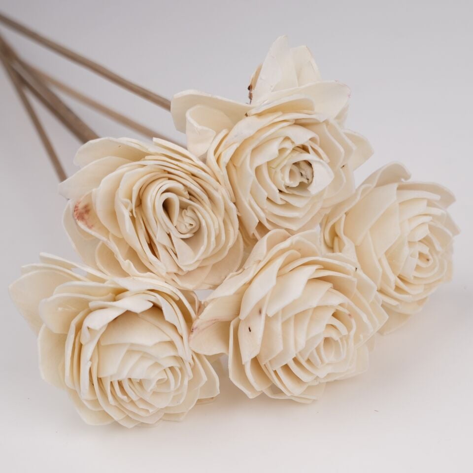 5'Lİ SOLA GLORY 6cm 50cm