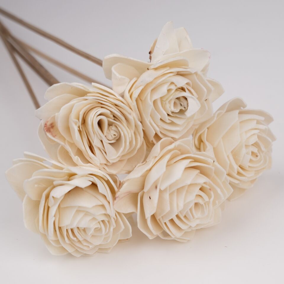 5'Lİ SOLA GLORY 6cm 50cm