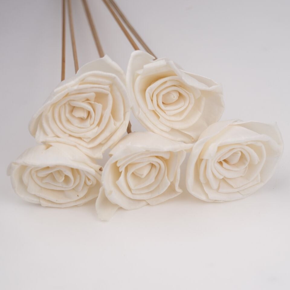 5'Lİ SOLA ROSSARDIO 6cm 50cm
