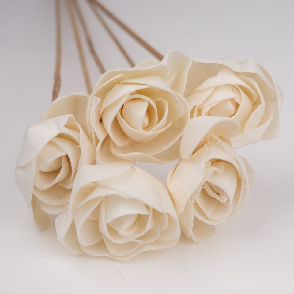 5'Lİ SOLA ROSE 6cm 50cm